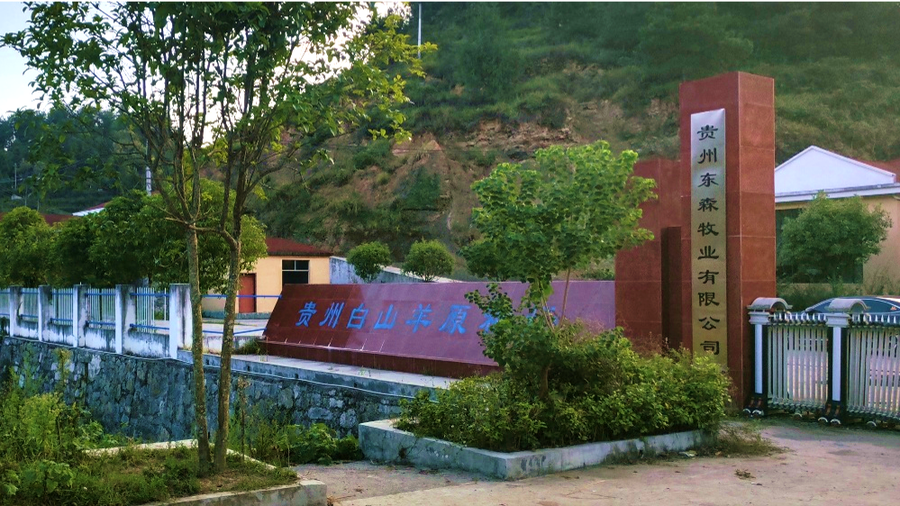 贵州沿河县白山羊养殖基地项目